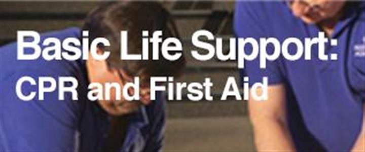 DAN Basic Life Support: CPR and First Aid (BLS) $135.00